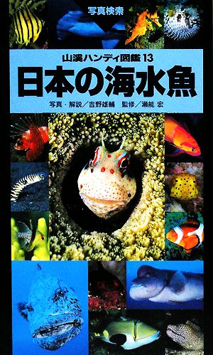 日本の海水魚山溪ハンディ図鑑13