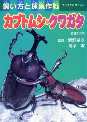 カブトムシ・クワガタ