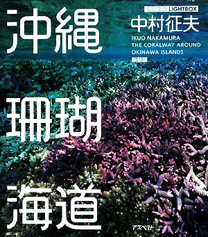 沖縄珊瑚海道 アスペクトライトボックス・シリーズ