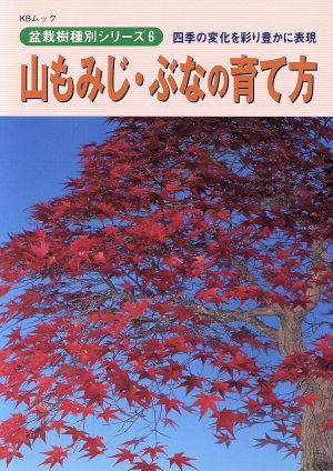 山もみじ・ぶなの育て方