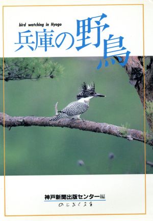 兵庫の野鳥