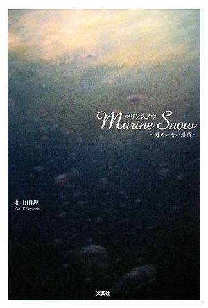 Marine Snow 君のいない場所