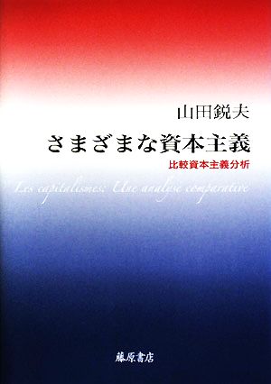 さまざまな資本主義 比較資本主義分析