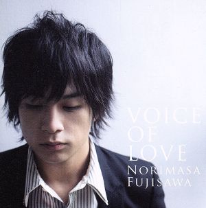 VOICE OF LOVE～愛の力～