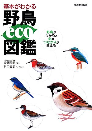 基本がわかる野鳥eco図鑑 野鳥がわかると命のつながりが見える