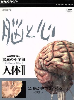 NHKスペシャル 驚異の小宇宙 人体Ⅱ 脳と心 第2集 脳が世界をつくる～知覚～