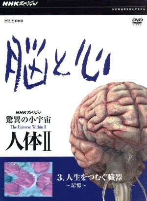 NHKスペシャル 驚異の小宇宙 人体Ⅱ 脳と心 第3集 人生をつむぐ臓器～記憶～