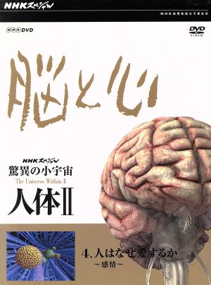 NHKスペシャル 驚異の小宇宙 人体Ⅱ 脳と心 第4集 人はなぜ愛するか～感情～