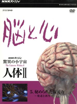 NHKスペシャル 驚異の小宇宙 人体Ⅱ 脳と心 第5集 秘められた復元力～発達と再生～