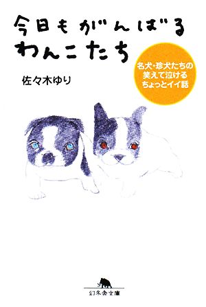 今日もがんばるわんこたち 名犬・珍犬たちの笑えて泣けるちょっとイイ話 幻冬舎文庫