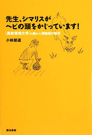 先生、シマリスがヘビの頭をかじっています！鳥取環境大学の森の人間動物行動学