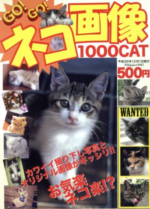 GOGO！ネコ画像1000cat