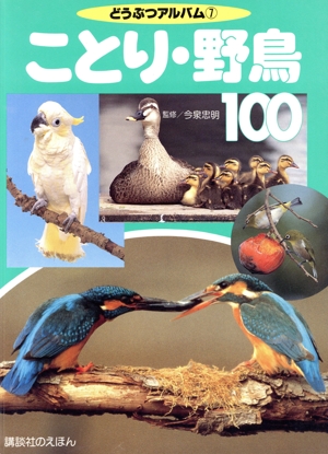 ことり・野鳥100 どうぶつアルバム7