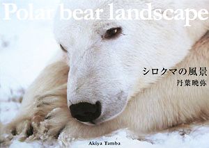 シロクマの風景Polar bear landscape