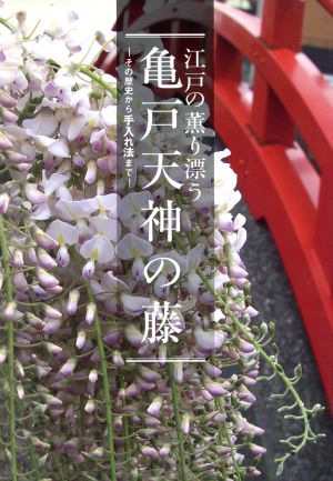 江戸の薫り漂う 亀戸天神の藤