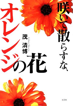 咲いて散らすな、オレンジの花