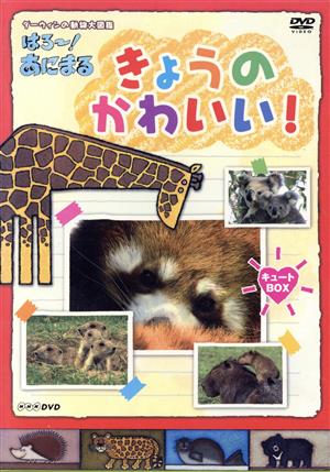 NHK DVD ダーウィンの動物大図鑑 はろ～！あにまる きょうのかわいい！ キュートBOX