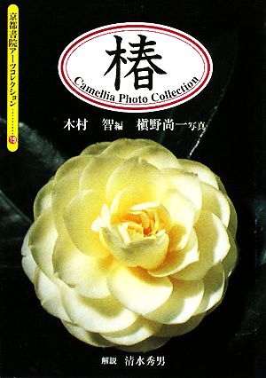 椿Camellia Photo Collection京都書院文庫アーツコレクション