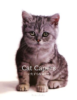 Cat Capers-いたずらな猫たち