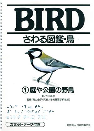 庭や公園の野鳥