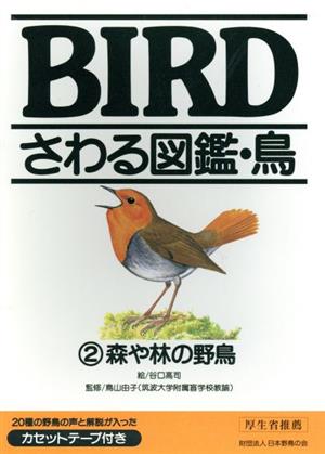 森や林の野鳥