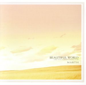 BEAUTIFUL WORLD ～LIKE YOU ALWAYS HOPED FOR