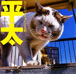 平太 なにわのぶちゃいどる猫