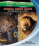AFRICAS SUPER SEVEN アフリカの覇者達(Blu-ray Disc)