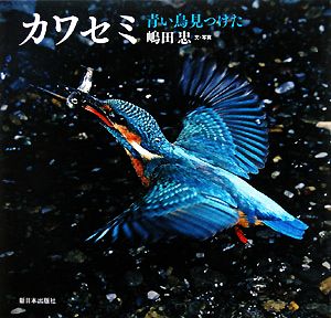 カワセミ青い鳥見つけた日本の野鳥