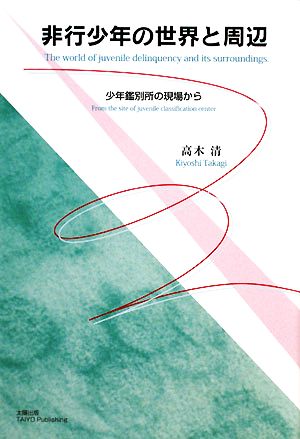 非行少年の世界と周辺 少年鑑別所の現場から