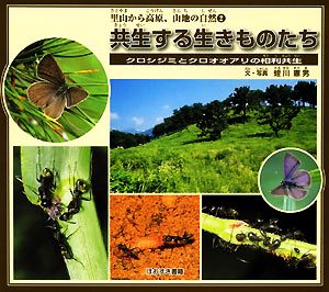 共生する生きものたち クロシジミとクロオオアリの相利共生 里山から高原、山地の自然2