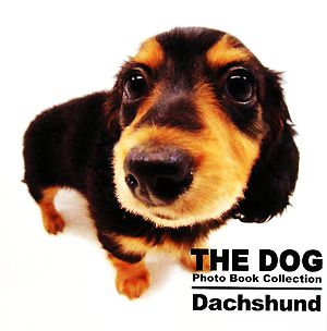 Dachshund THE DOG Photo Book Collection