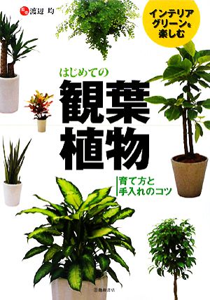 はじめての観葉植物 インテリアグリーンを楽しむ 育て方と手入れのコツ