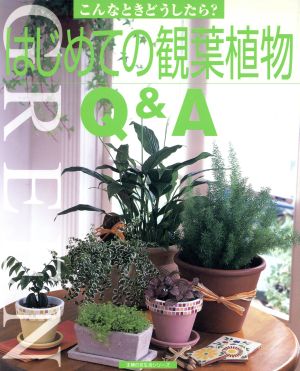 はじめての観葉植物Q&A