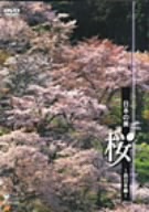 日本の美 桜～西日本編～