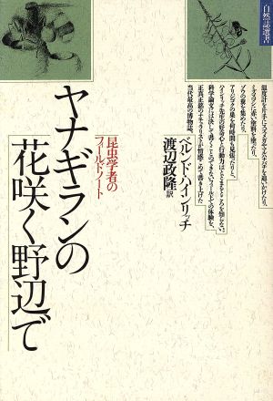 ヤナギランの花咲く野辺で