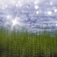 ことのはクラシック Vol.1