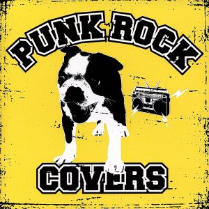 PUNK ROCK COVERS