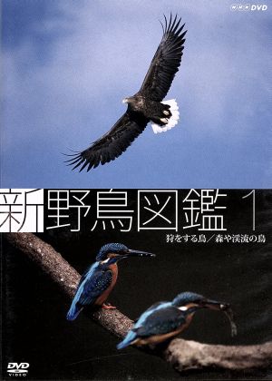 新 野鳥図鑑 第1集 狩をする鳥/森や渓流の鳥