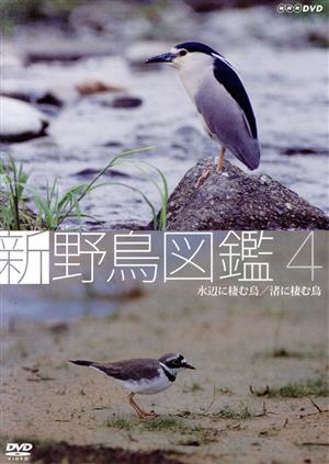 新 野鳥図鑑 第4集 水辺に棲む鳥/渚に棲む鳥