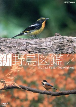 新 野鳥図鑑 第2集 美しくさえずる鳥/草原や里山の鳥
