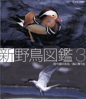 新 野鳥図鑑 第3集 池や湖の水鳥/海に舞う鳥(Blu-ray Disc)