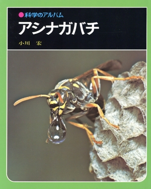 アシナガバチ 科学のアルバム