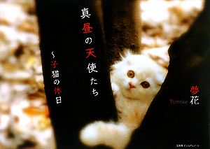 真昼の天使たち 子猫の休日