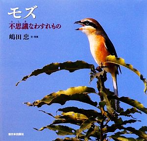 モズ 不思議なわすれもの 日本の野鳥