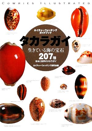 タカラガイ 生きている海の宝石 日本と世界のタカラガイ207種 ネイチャーウォッチングガイドブック