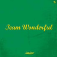 TEAM WONDERFUL