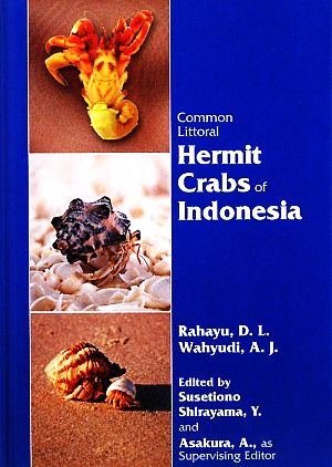 Common Littoral Hermit Crabs of Indonesia