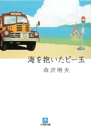 海を抱いたビー玉 小学館文庫