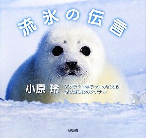 流氷の伝言 アザラシの赤ちゃんが教える地球温暖化のシグナル